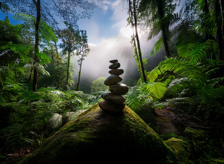 Aufkleber - Serene forest scene featuring a carefully balanced stack of stones atop a moss-covered rock, bathed in sunlight filtering through lush ferns and trees.  A mystical, tranquil atmosphere pervades.