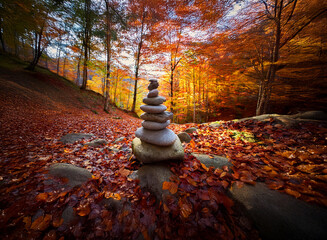 Poster - Serene autumn scene:  A balanced stone cairn rests amidst a vibrant forest floor covered in fallen leaves, bathed in sunlight.