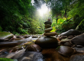 Poster - Serene stream flows through lush rainforest.  Sunlight filters through canopy, illuminating balanced stones in the water.  Peaceful, natural scene evokes tranquility.