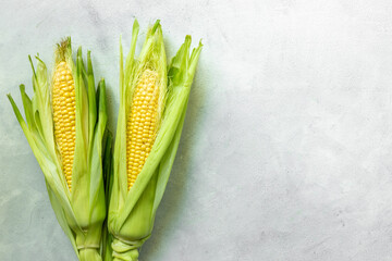 Poster - Fresh corn on the on the cobs, top view. Harvest background