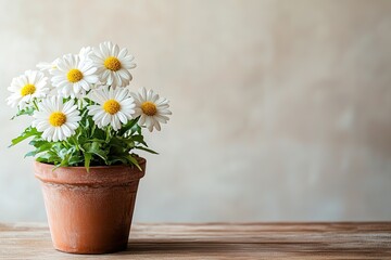 Poster - potted flower placed on wooden table with blooming petals arrangement is minimal and there is empty space on right