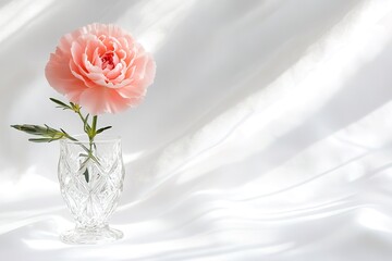 Poster - clean white background with single pink carnation placed in crystal vase under soft light