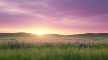 serene sunrise over lavender field in soft light