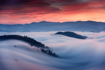 Wall Mural - Sea of fog flowing on hill in countryside at sunrise