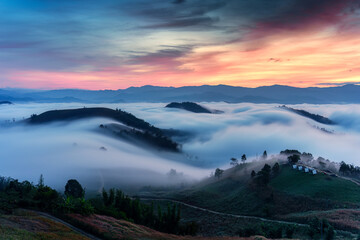 Wall Mural - Sea of fog flowing on hill in countryside at sunrise