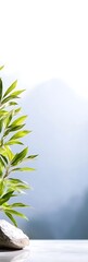 Canvas Print - Tranquil plant on stone against mountain backdrop.