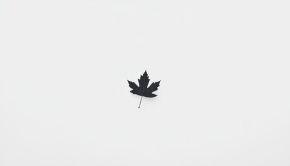 Poster - Black leaf design on a minimalist white background ideal for nature, art, and creative projects
