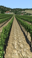 Wall Mural - A scenic vineyard landscape with rows of grapevines under a clear blue sky.