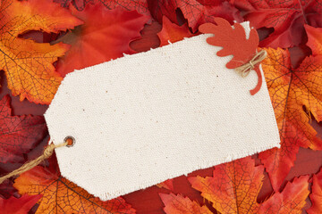 Wall Mural - Blank cloth price tag with fall leaves on red wood