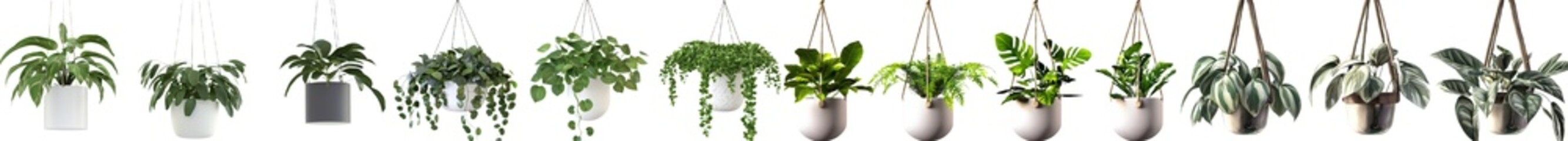 Poster - Hanging ceramic pots with beautiful plants, displayed on an isolated transparent background. 3D render.