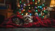 © YauheniB - Mascotas en navidad