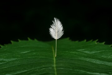 Poster - A close-up of a dandelion seed ready to blow in a light breeze