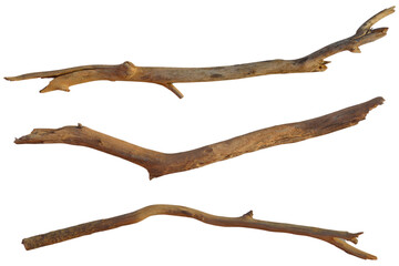 Realistic dry branches isolated on transparent background. Dead tree branch, old twig, PNG, Cut out