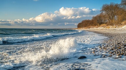 Poster - Winter beach with foamy waves crashing on rocky shore under a dramatic sky creating a picturesque coastal scene full of energy and movement