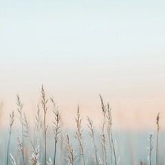 Poster - Delicate Wild Grasses Against a Soft Colorful Sky at Dusk