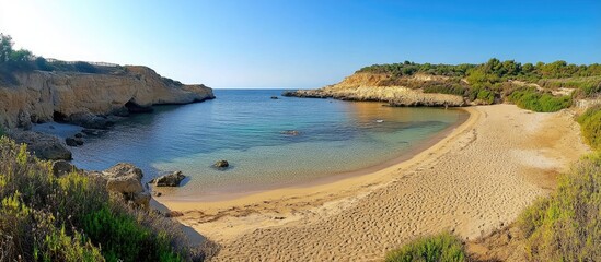 Poster - Scenic panoramic view of a tranquil beach at low tide with golden sand and lush vegetation under a clear blue sky