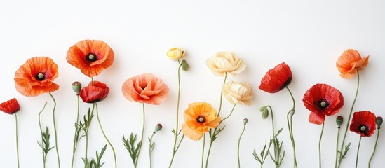 Aufkleber - Minimalist floral arrangement featuring peach and red poppy flowers on a white background for chic decor and design inspiration