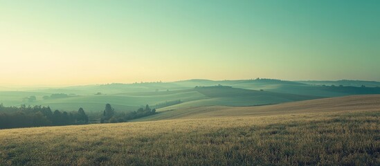 Poster - Tranquil vineyard landscape at sunrise showcasing rolling hills and serene horizon in the early morning light