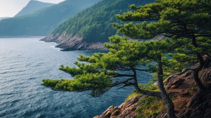 Poster - Majestic pine trees overlooking a tranquil mountainside shoreline with serene blue waters and lush greenery in the background.