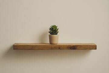 Poster - A plain white wall with a small potted succulent on a wooden shelf.