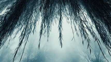 Aufkleber - Abstract view of weeping willow branches against a foggy grey blue sky creating a serene and moody atmosphere in nature photography