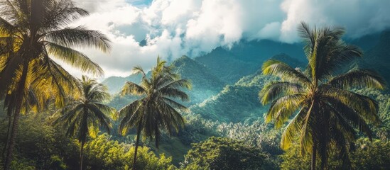 Poster - Scenic view of palm trees in lush green mountains under a dramatic cloudy sky creating a serene tropical paradise atmosphere