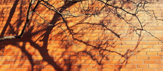 Poster - Orange brick wall casting detailed shadows from overhanging branches creating a unique artistic background for design projects