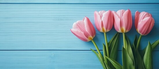 Poster - Pastel pink tulips on blue wooden background with ample copy space for spring themes and floral designs