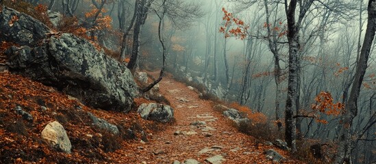 Aufkleber - Scenic misty mountain trail surrounded by autumn foliage and rugged stones in a tranquil forest setting