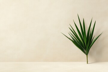 minimalist plant illustration, minimalist doodle of a yucca plant on textured beige background, enhancing its simple design with warmth and depth