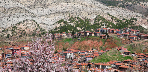 Canvas Print - The old houses in Nallihan, Turkey were built during the Ottoman period.