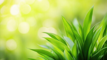 Canvas Print - Lush green leaves with selective focus creating a vibrant natural background for calming and refreshing visual aesthetics