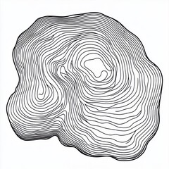 Poster - Abstract black and white illustration of fluid lines forming an organic shape.