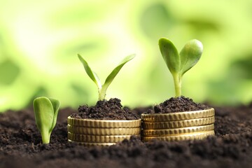 Wall Mural - Stacks of coins with green plants on soil against blurred background, closeup. Money growth concept