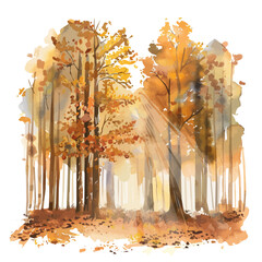 Wall Mural - a watercolor vector of a fall forest with rays of sunlight filtering through, isolated on a white ba