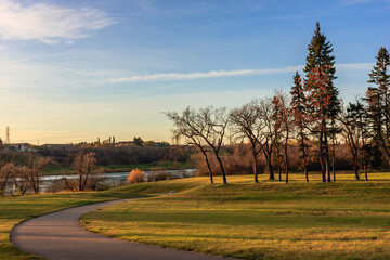 Wall Mural - a path winds through a park with trees and a river in the background
