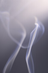 Wall Mural - incense is an aromatic biotic material that releases fragrant smoke when burnt.