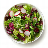 Fresh green salad with vibrant radishes and leafy greens, perfect for healthy eating, food photography, and seasonal recipe inspiration