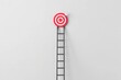 © PICK YOUR POV - A ladder reaching towards a target on a wall, symbolizing goals and aspirations.