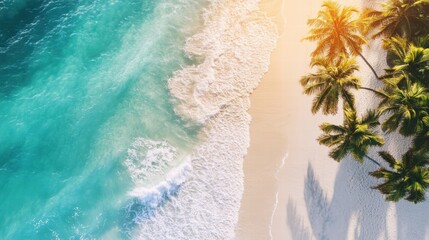 Poster - Sunny Miami beach with clear turquoise waters and swaying palm trees during a bright day in the summer. Generative AI