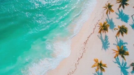 Poster - Sunny Miami beach with turquoise waters, golden sand, and swaying palm trees creates a perfect tropical paradise experience. Generative AI