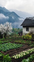 Wall Mural - A small house sits in front of a mountain range