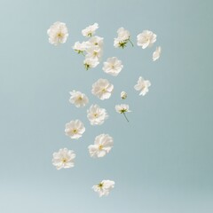 Poster - Minimalist White Flowers on Soft Blue Background Spring and Nature Aesthetic
