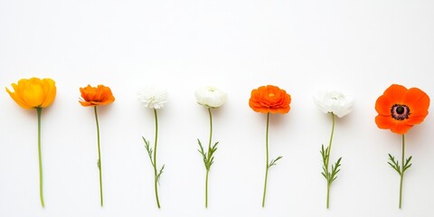 Poster - Minimalist Flower Arrangement on White Background A Vibrant Display of Natures Beauty