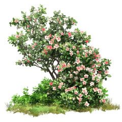 Wall Mural - A tree with pink flowers is in the foreground