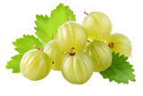 gooseberry isolated on transparent background