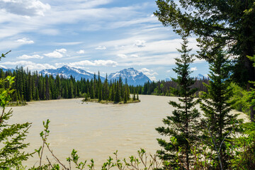 Wall Mural - Jasper National Park Athabasca River summer landscape. Alberta, Canada. Canadian Rockies. Mount Kerkeslin and Mount Hardisty in the background.