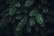 © Pawel - Dark moody background featuring dense green pine foliage and fir tree branches texture