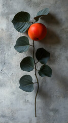 Wall Mural - Red Fruit on Branch with Dark Green Leaves, Still Life Photography against a Textured Grey Background.