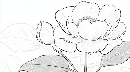 Poster - Black line art of a rose in full bloom, drawn in a flowing, uninterrupted stroke on a white background.